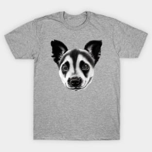 Australian Cattle Dog Puppy T-Shirt